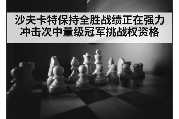 沙夫卡特保持全胜战绩正在强力冲击次中量级冠军挑战权资格