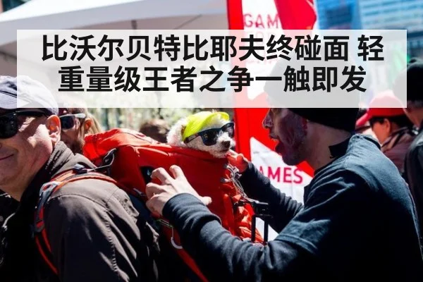 比沃尔贝特比耶夫终碰面 轻重量级王者之争一触即发