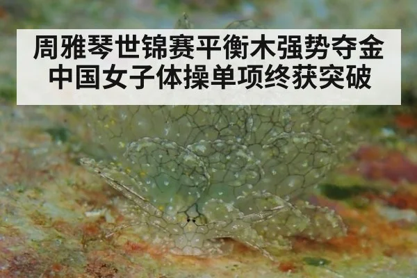 周雅琴世锦赛平衡木强势夺金 中国女子体操单项终获突破